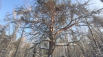 Без подписи