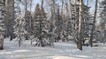 Без подписи