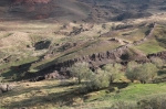 Без подписи
