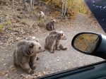 Без подписи