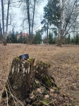 Запасной микрик