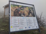 Без подписи