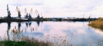 Без подписи