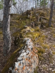 Без подписи