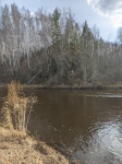 Без подписи