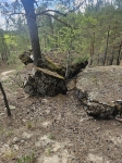 Без подписи