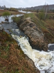 Без подписи