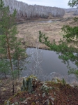 Без подписи