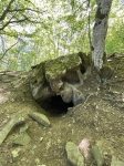 Без подписи