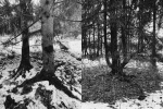 Без подписи