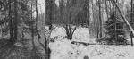 Без подписи