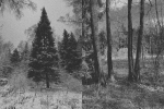 Без подписи