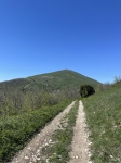 Без подписи