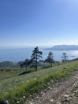 Без подписи