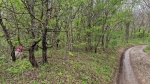 Вид с дороги (коробочка)