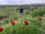 Без подписи