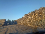 Без подписи