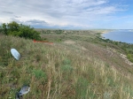 Без подписи