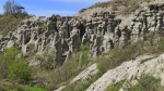 Гости