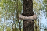 Без подписи