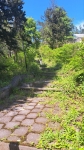 Без подписи