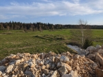 Без подписи