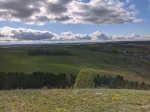 Без подписи