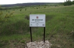 Без подписи
