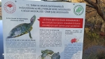 Без подписи