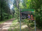 Без подписи
