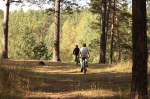 Без подписи