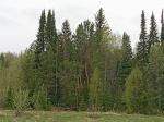 Без подписи