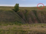 Без подписи
