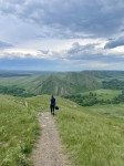Без подписи