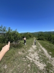 Без подписи