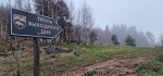 Без подписи