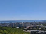 Без подписи