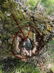 Без подписи