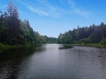 А вот и сам Лесной пруд на Самынке