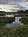 Без подписи