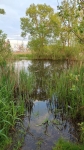Без подписи