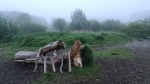 Без подписи