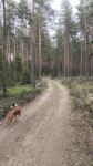 Без подписи