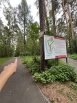 Без подписи