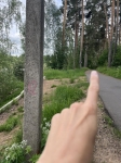 Без подписи