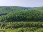Вид с Рассольного на Косьву
