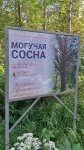 Без подписи