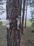 Без подписи