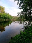 Без подписи