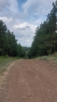 Без подписи